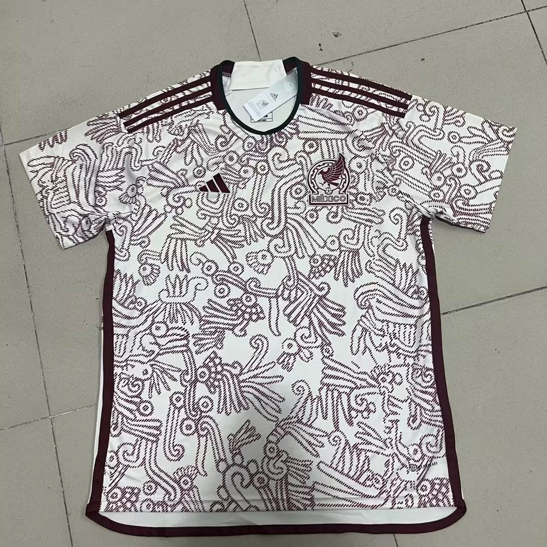2022WC-A-MEX-FAN-A06310