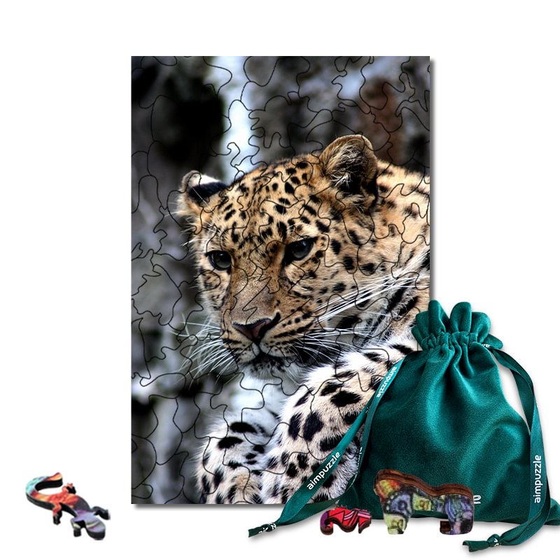 cheetah cat mouse puzzle