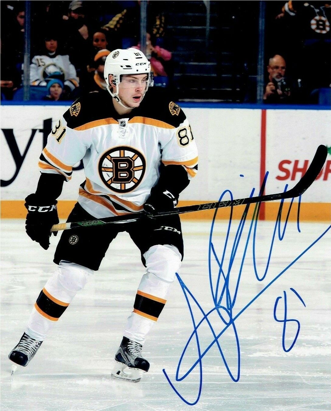 ANTON BLIDH autographed SIGNED BOSTON BRUINS 8X10 Photo Poster painting