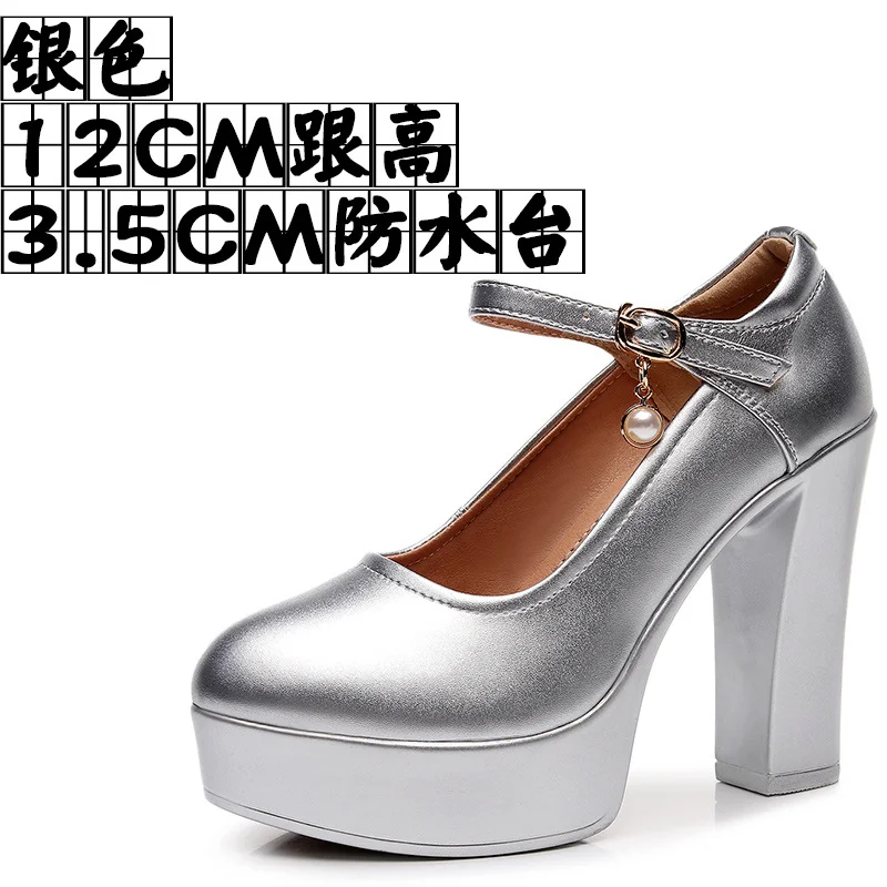 Breakj Breakj 6Cm Silver Heeled Show Shoes Thick-Singing Leather Shoes Thick-Soled Model Single-Shoe Large-Size Working Shoes