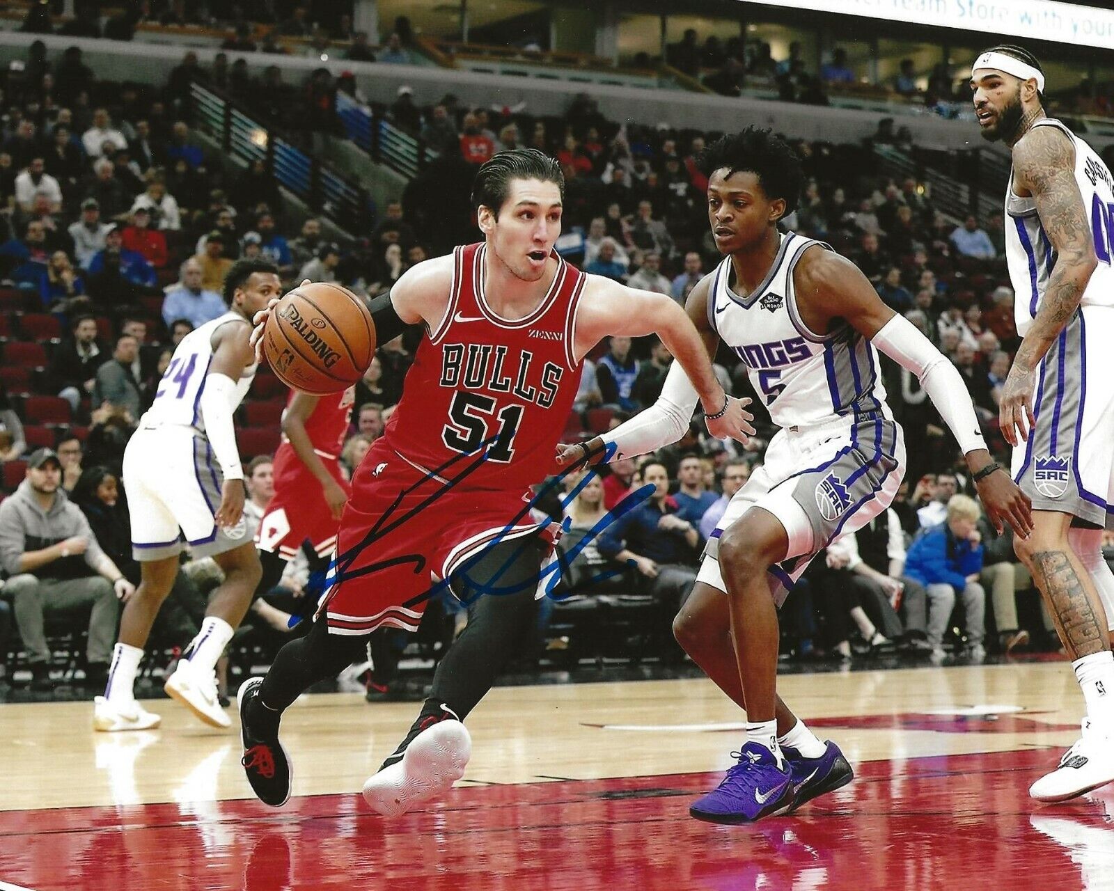 Ryan Arcidiacono signed Chicago Bulls 8x10 Photo Poster painting autographed