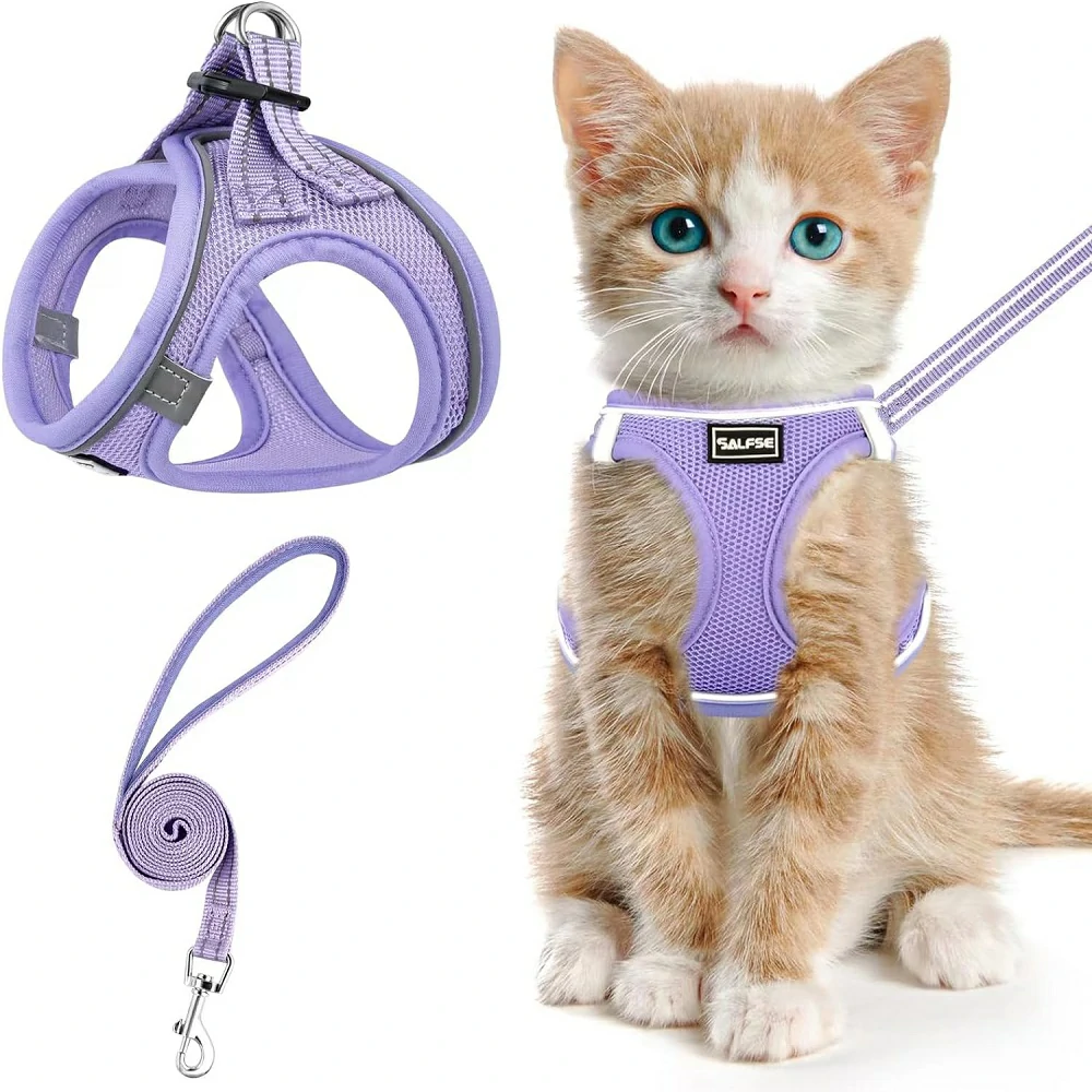 Cheetah Action Serie - Cat Harness Chic Adventures Secure Companionship