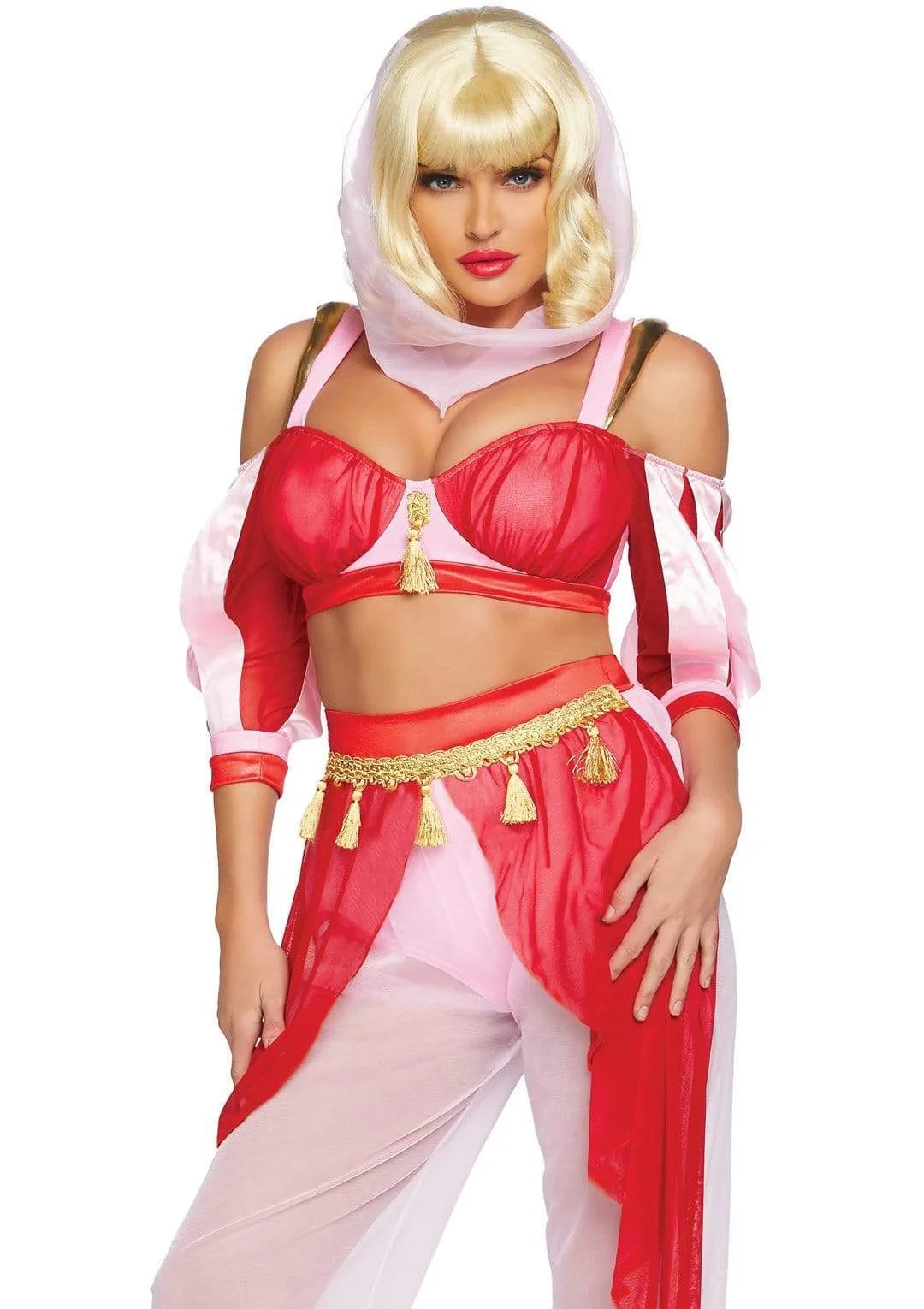 Dreamy Genie Costume