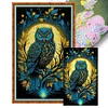 >SALE<Full Embroidery Cotton Thread11CT Print Moonlight Owl Cross Stitch Kit 50x80cm