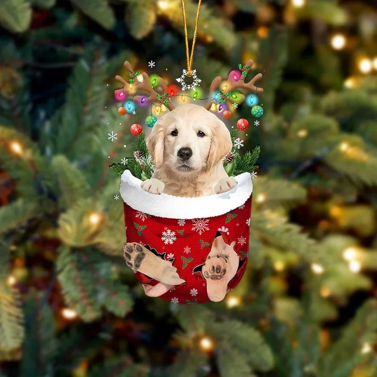 Golden Retriever In Snow Pocket Christmas Ornament trabladzer