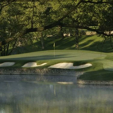 Pure Select Creeping Bent Grass