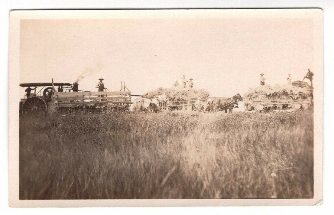 RPPC Early Farmers Real Photo Poster painting Postcard Unused