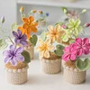 Crochet Flowers Potted Plants Decorative Crochet Ornaments DIY Gifts for Friends