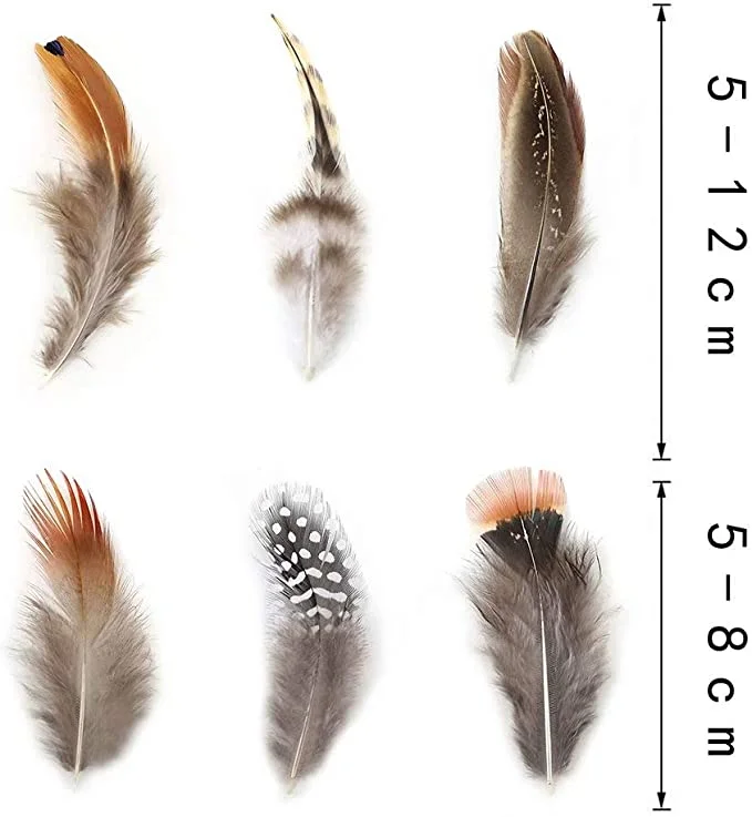 Guinea Fowl Feather Accessories for Hats