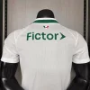 26/27 Player version Palmeiras Soccer Jersey Away