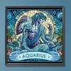 Diamond Painting-DIY Crystal Rhinestone Aquarius