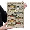 Native Trout - Vintage Metal Signs - 20*30cm/30*40cm