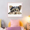 Yorkshire Terrier-11CT Stamped Cross Stitch 40*40cm/15.75*15.75in tapestrymarket