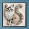 Kit de peinture en diamant partiel en forme de type &laquo; cat &raquo; DIY pour adultes d&eacute;butants d&eacute;coration int&eacute;rieure peintures de diamants et &oelig;uvres de pierre