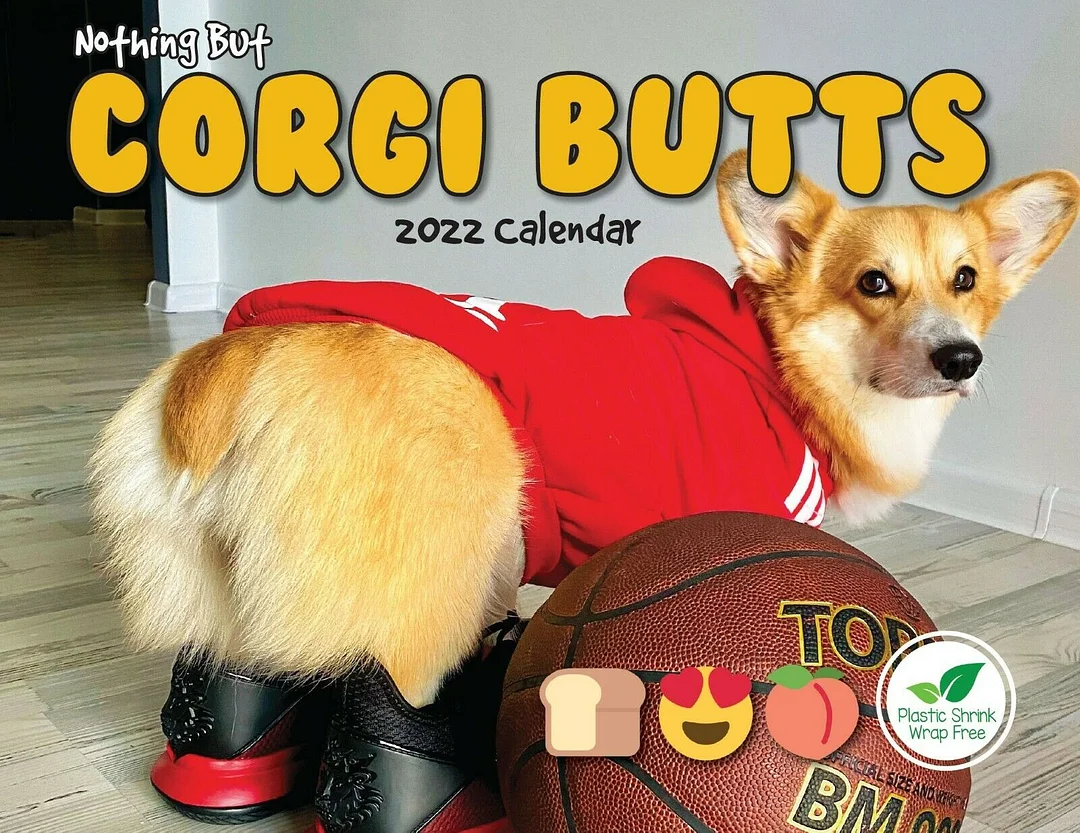 2022 Funny Dog Calendar