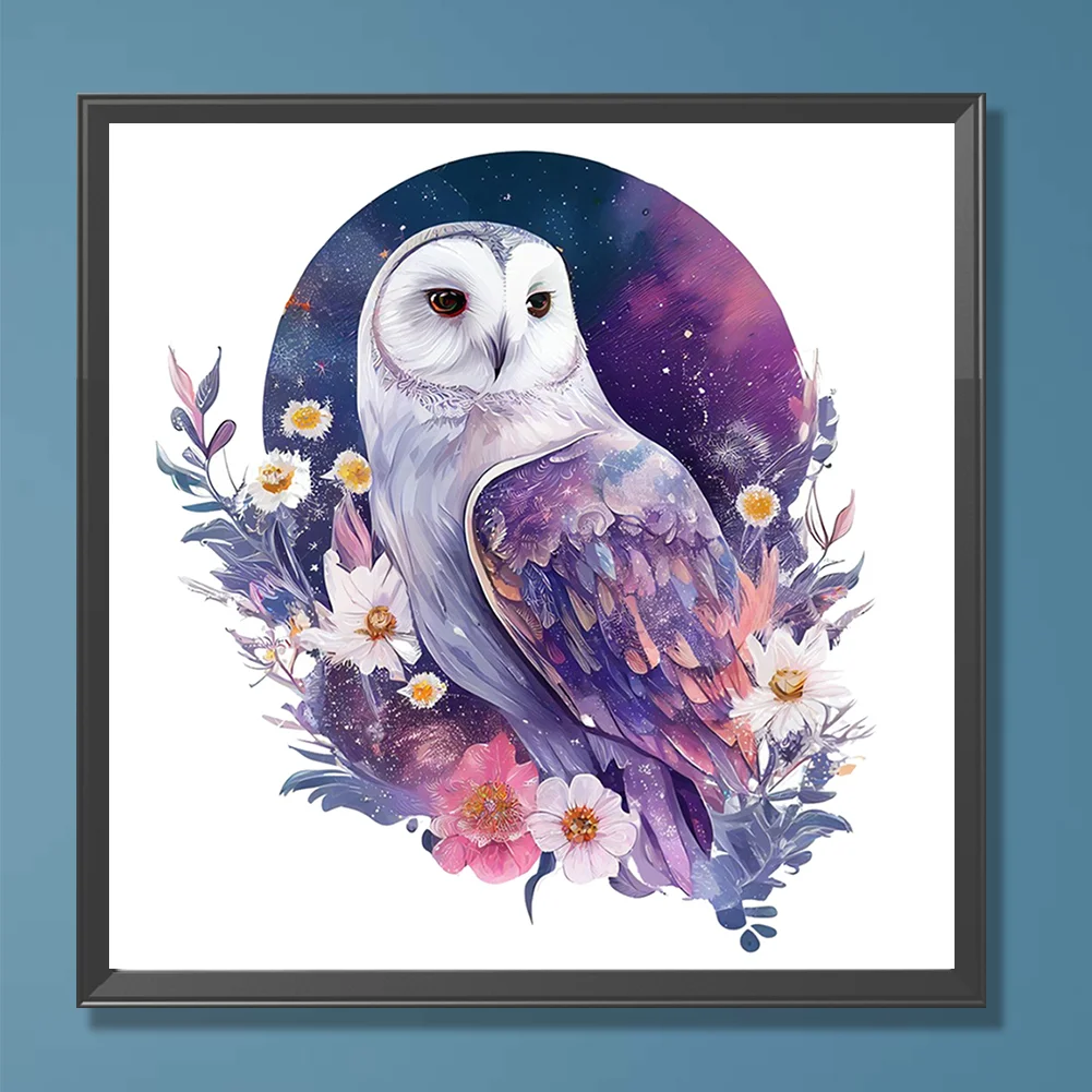 DIY Paint By Number 40*40cm - Owl