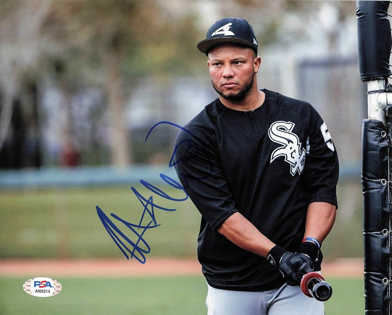 Welington Castillo signed 8x10 Photo Poster painting Chicago White Sox PSA/DNA Autographed