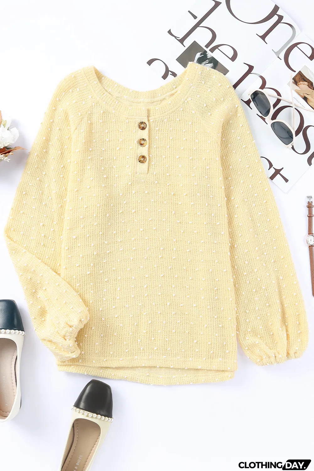 Swiss Dot Raglan Sleeves Knit Top