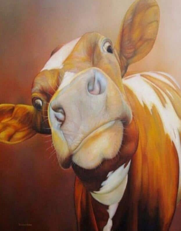

Abstract Cow – Paint By Numbers - 40*50CM, 501 Original