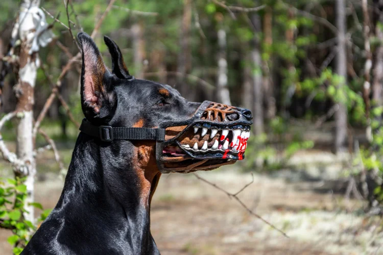 crochet dog muzzle