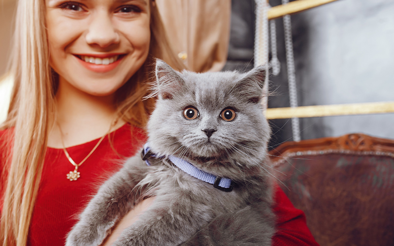 How To Keep A Cat In The Dormitory?