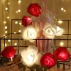 Guirlande lumineuse LED roses