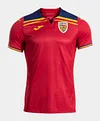 Romania away Soccer Jersey 2025