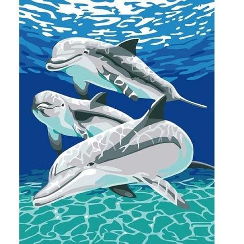 DIY Paint by Numbers Canvas Painting Kit for Kids & Adults - Dolphins、bestdiys、sdecorshop