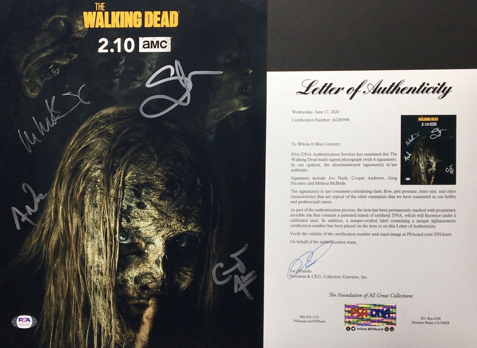 Avi Nash Cooper Andrews Greg Nicotero Melissa McBride Signed 11x14 Photo Poster painting PSA