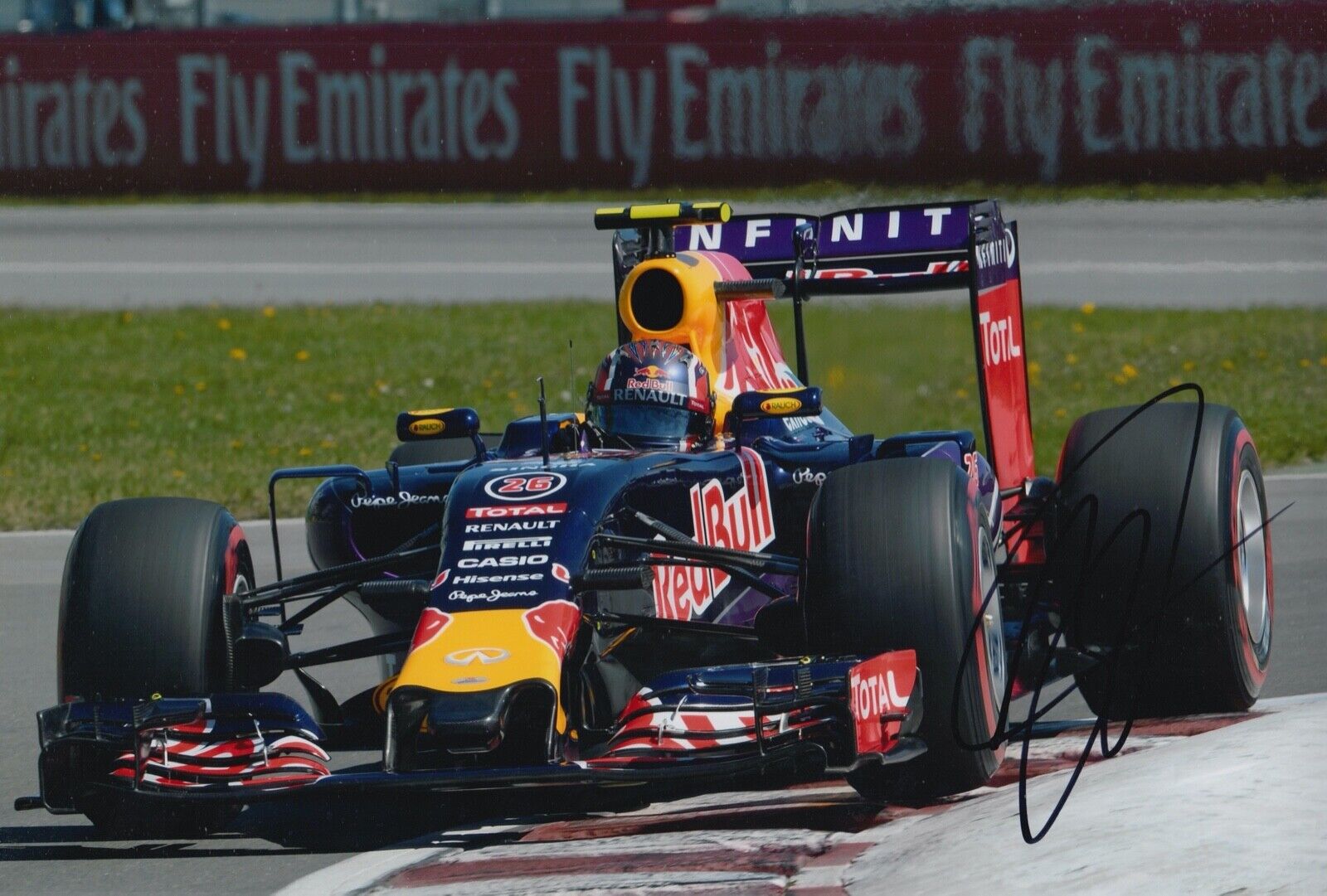 Daniil Kvyat Hand Signed 12x8 Photo Poster painting F1 Autograph Red Bull Racing 11