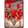 Bayern Munich Football - Vintage Metal Signs(12*16Inch) - Football