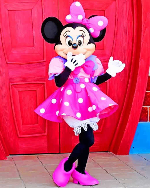 

Mini Mouse Pink Dress – Paint By Numbers - 40*50CM, 501 Original