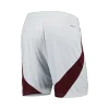 Ajax Third Away Soccer Shorts 2024/25