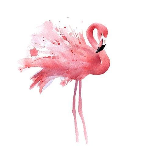 DIY Paint by Numbers Kit for Adults - Pink Flamingo、bestdiys、sdecorshop