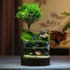 Original Moss Micro Landscape Ecological Bottle Indoor Desktop Plant Green Plant Potted Ecological Tank Fish And Crab