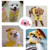 Pet Warm Dog Winter Clothes Cute Fruit Coat
