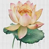 >SALE<Full Embroidery Eco-cotton Thread 11CT Printed Lotus Flower Cross Stitch 40x40cm
