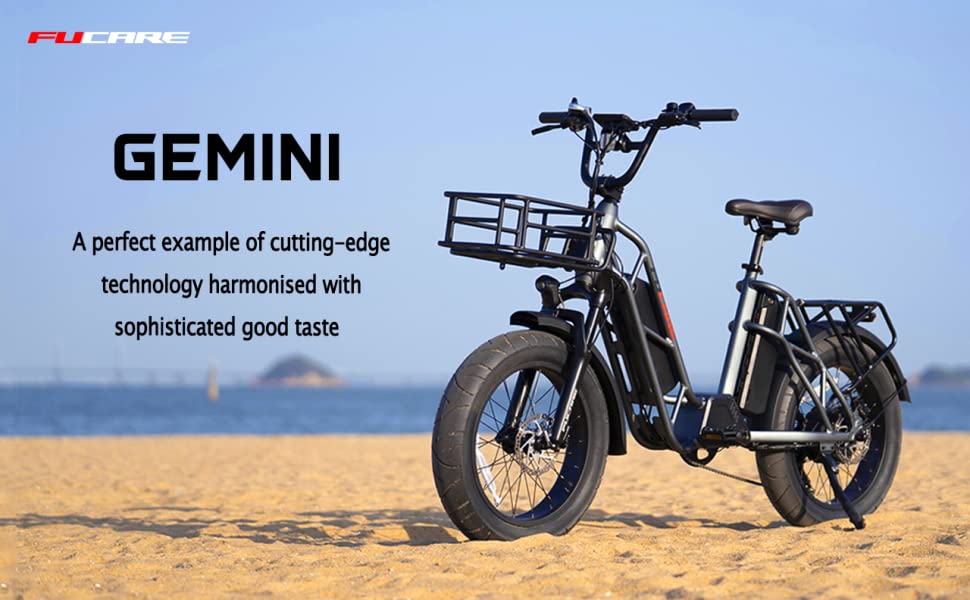 Fucare Electric Bike Bicycle Gemini
