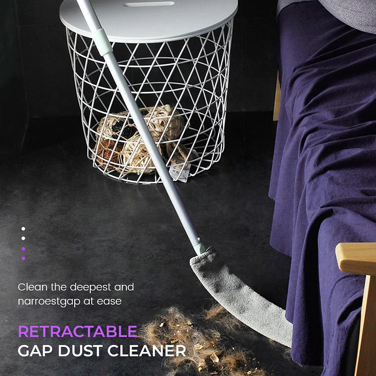 Nettoyeur de poussière rétractable Gap