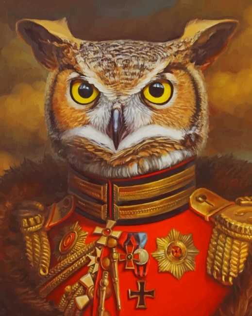 

Mr Owl – Paint By Numbers - 40*50CM, 501 Original