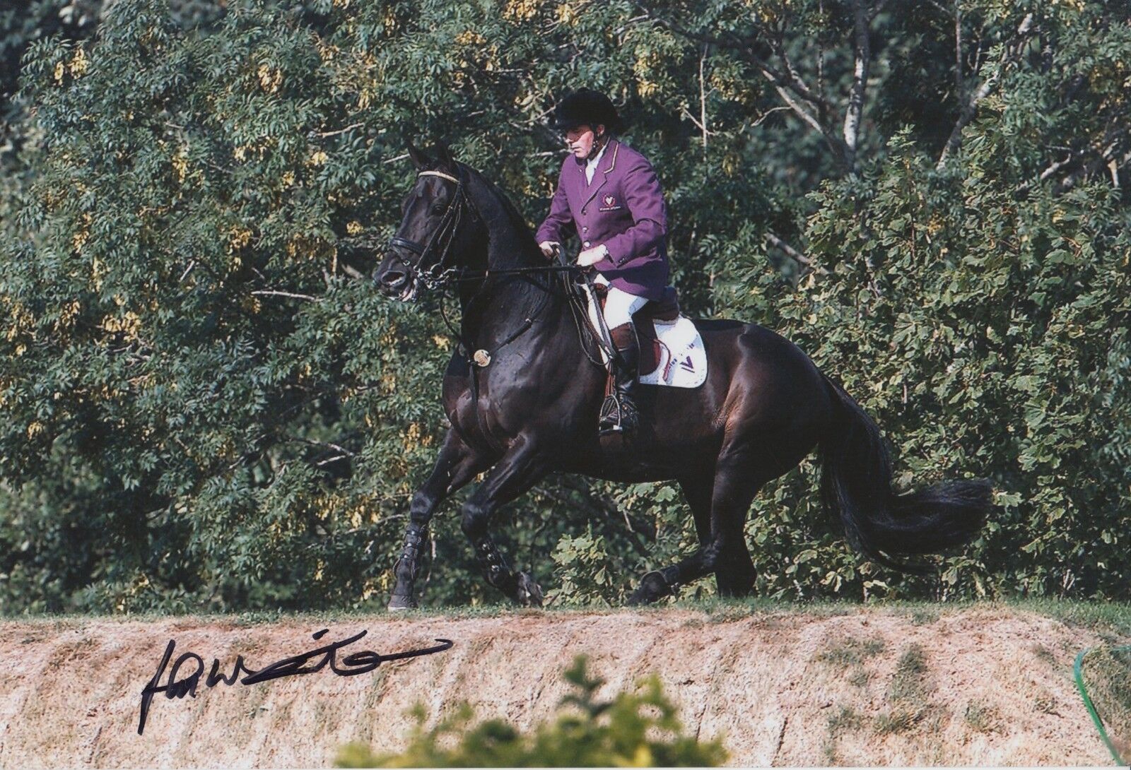 John Whitaker Hand Signed Olympics 12x8 Photo Poster painting.