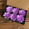  Water Floating Lotus Flower Led Candle Tealight Artificial Lotus Flowers for Water, Lights Waterproof Flame Less Floating Led Candle, Lotus for Home Decoration Floating Flowers