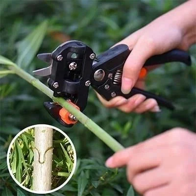 ✨Flash Sale 50% off 🔥 Garden Professional Grafting and Cutting Tools