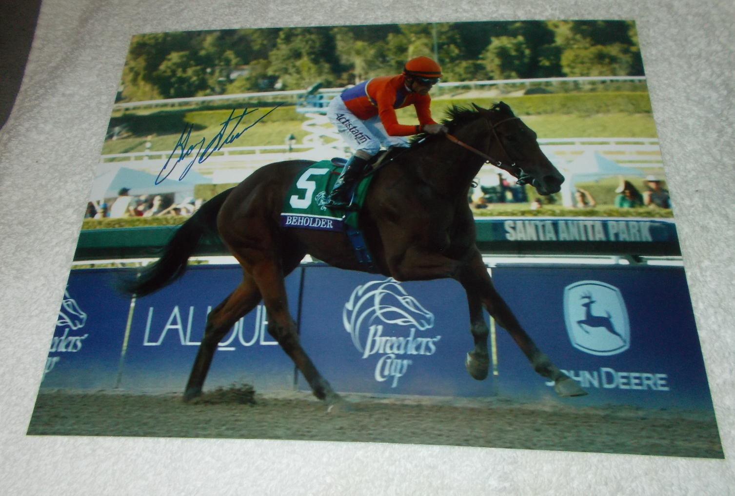 GARY STEVENS BEHOLDER 2013 BREEDERS CUP SIGNED 8x10 HORSE RACING Photo Poster painting