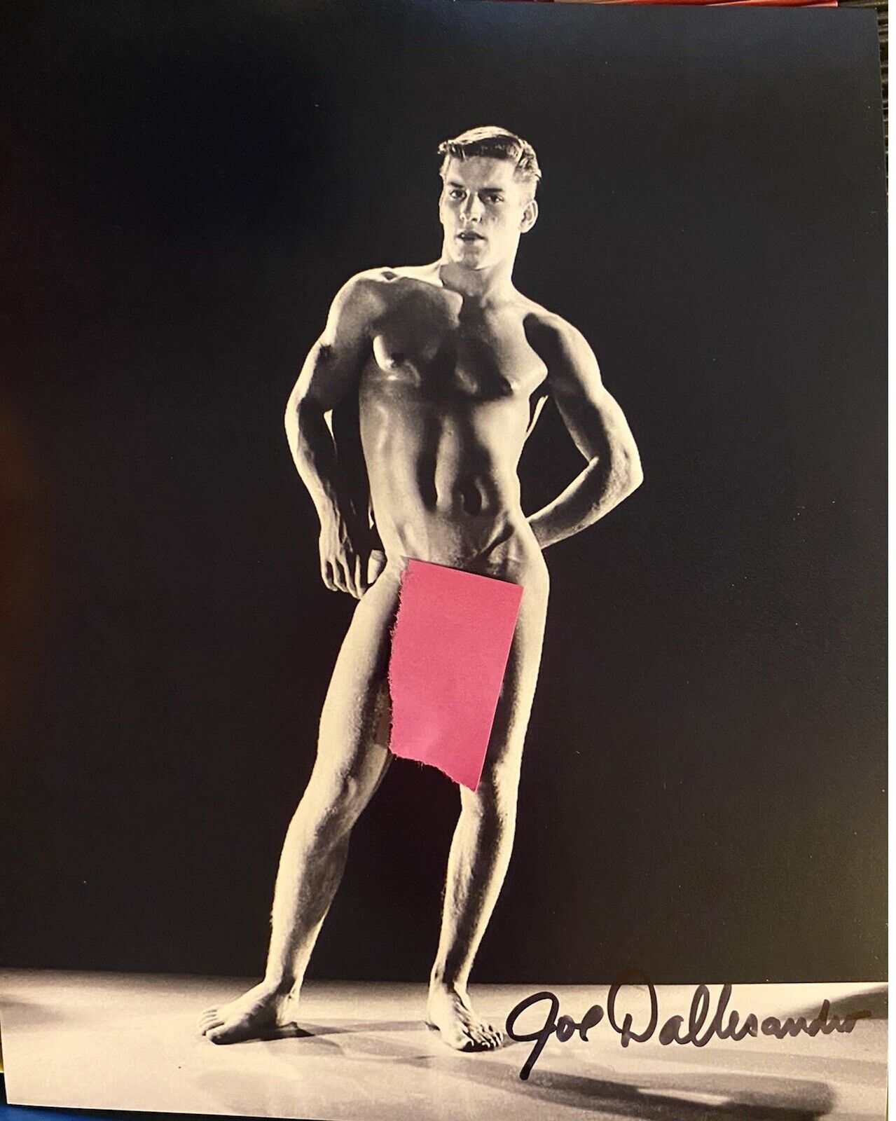 Joe Dallesandro signed Autographed 8x10 Photo Poster painting Sexy Andy Warhol nude