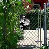 Johnny Cash - Panneaux en &eacute;tain m&eacute;tallique(20*30cm/30*40cm) - Musique