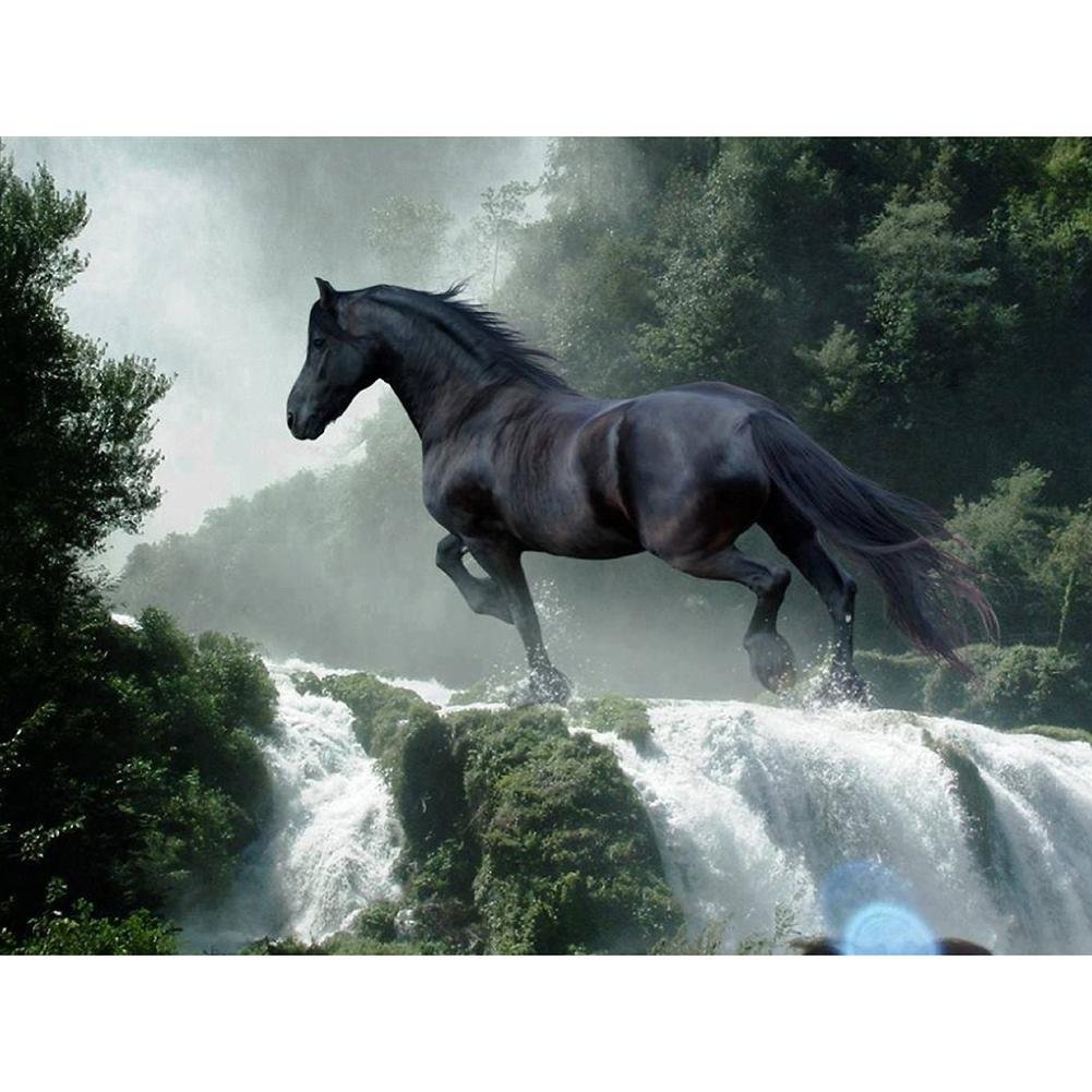 Full Round Diamond Painting Black Horse (40*30cm)