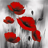 Fleur de coquelicot-plein rond diamant peinture-30 * 30cm