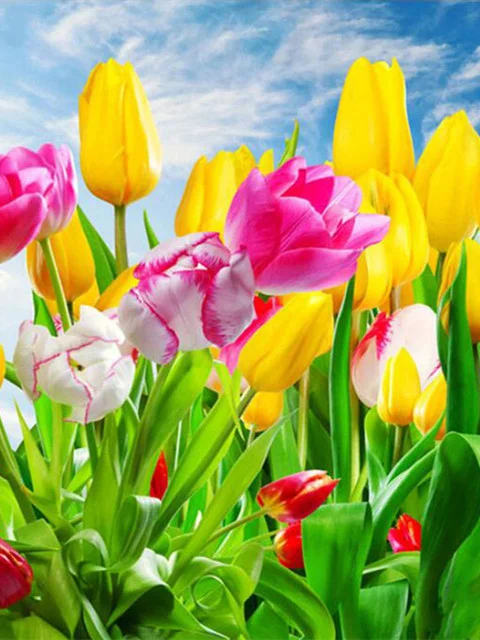 Diamond Painting - Full Round/Square Drill - Flower(30*40 - 50*60cm)
