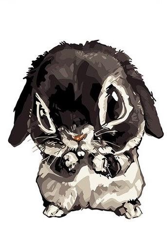 

Mignon Rabbit – Paint By Numbers - 40*50CM, 501 Original